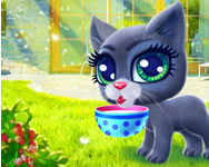 Happy cat csajos HTML5 játék