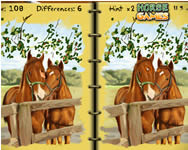csajos - Horses art book