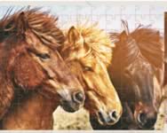 Jigsaw puzzle horses edition online