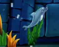 My dolphin show 7 HTML5 csajos HTML5 játék