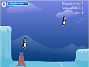 csajos - Penguin rescue