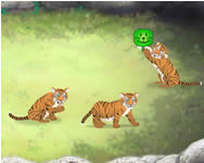 csajos - Tiger nursery