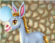 csajos - Donkey horse caring