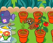 Dora's magical garden csajos HTML5 játék