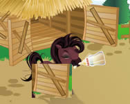 Horse farm assistant online
