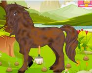 Horse grooming salon csajos ingyen jtk