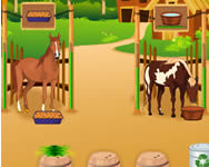 csajos - Horsecare apprenticeship