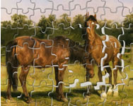 csajos - Horses grazing jigsaw
