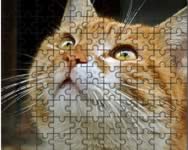 Jigsaw puzzle 2 csajos ingyen jtk