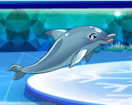 My dolphin show 8 HTML5 online